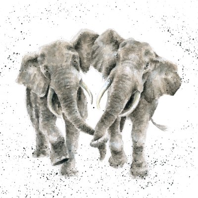 'Age is Irrelephant' elephant artwork print