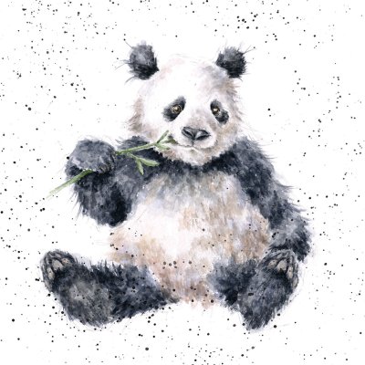 'Bamboozled' panda artwork print
