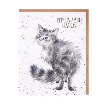 Cat Welsh Birthday card