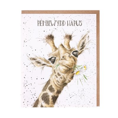 Giraffe Welsh Birthday card