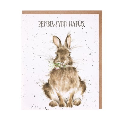 Rabbit Welsh Birthday card