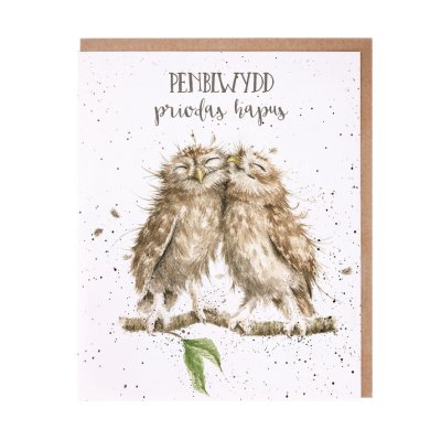Owl Welsh anniversary card