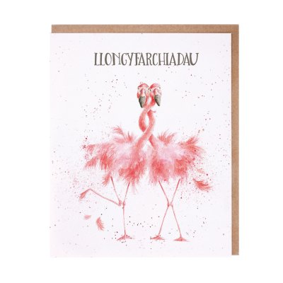 Flamingo Welsh Congratulations card