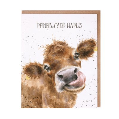 Cow Welsh Birthday card