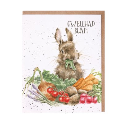 Rabbit and vegetable Welsh get well soon card