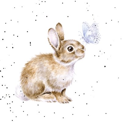 'I Spy a Butterfly' rabbit and butterfly artwork print