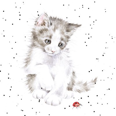 'Ladybird' cat artwork print