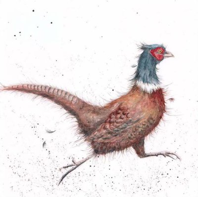 'Game Bird' pheasant artwork print