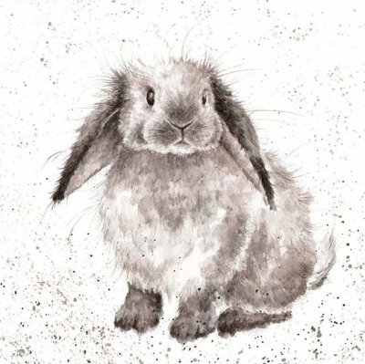 'Rosie' rabbit artwork print