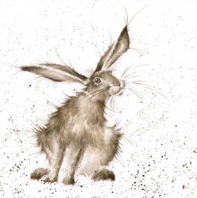 'Hare Raising' hare artwork print