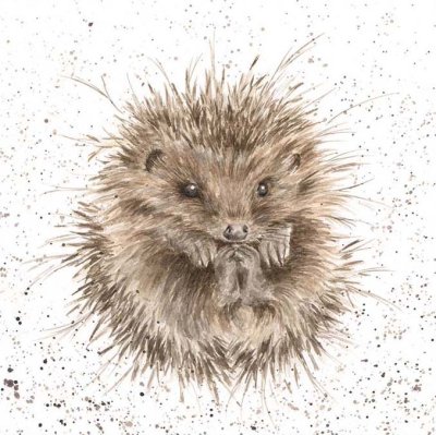 'Awakening' hedgehog artwork print
