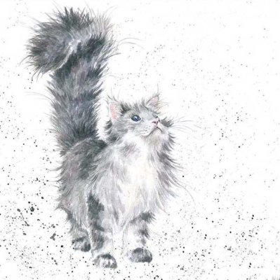 'Lady of the House' cat artwork print