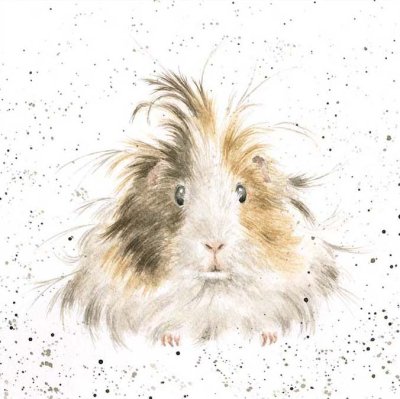 'Style Queen' guinea pig artwork print
