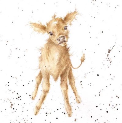 'Jersey Girl' cow calf artwork print