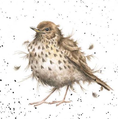 'Songbird' artwork print