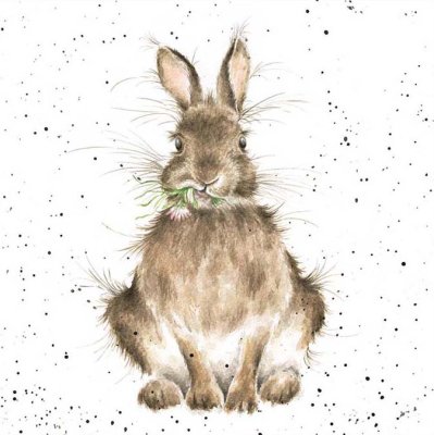 'Daisy' rabbit artwork print