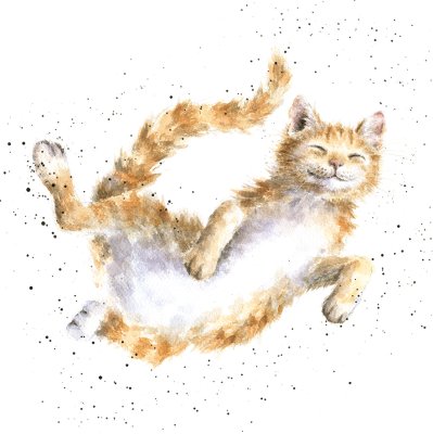 'The Cat Nap' cat artwork print