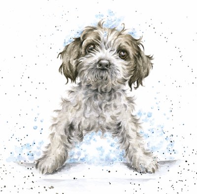 'Bubbles and Barks' dog artwork print