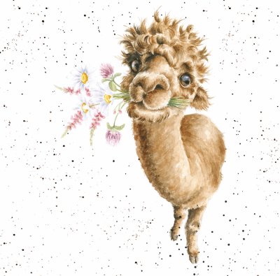 'Hand-Picked for You' alpaca artwork print