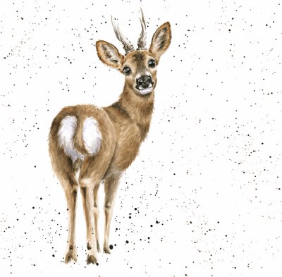 'The Roe Deer' deer artwork print