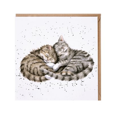 'Sweet Dream' cat card
