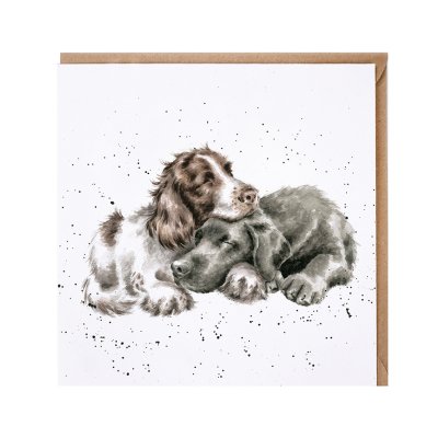 'Growing Old Together' Spaniel and Labrador card