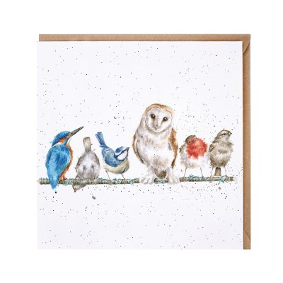 'The Variety of Life' birds on a branch card
