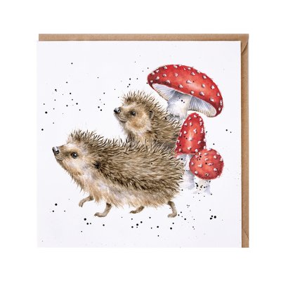 'A Prickly Adventure' hedgehog card