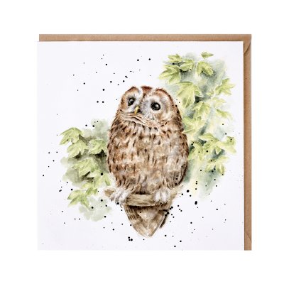 Owl in a tree illustrated greeting card