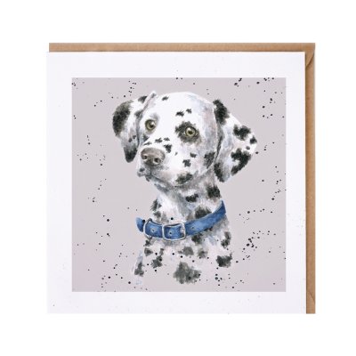 Dalmatian dog greeting card