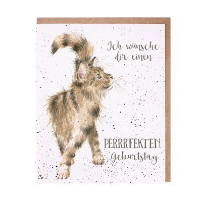 Fluffy tabby cat German card