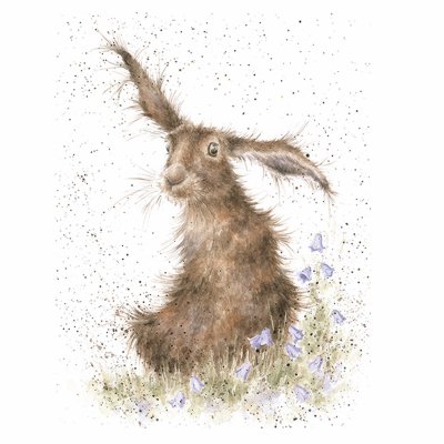 'Harebells' Hare limited Edition print