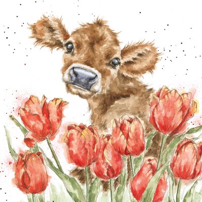 'Bessie' calf amongst tulips artwork print