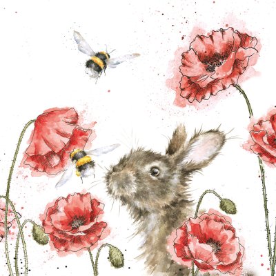 'Let it Bee' rabbit, poppy and bee artwork print