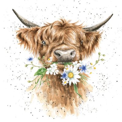'Daisy Coo' Highland cow with flowers in it's mouth artwork print