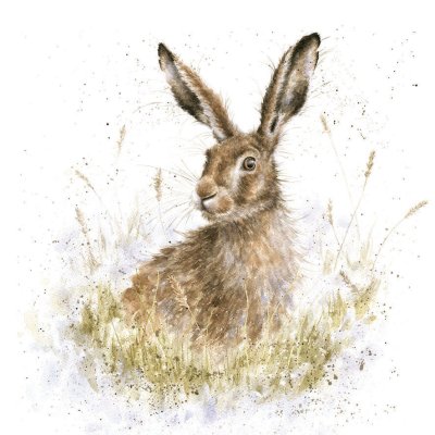 'Into the Wild' hare artwork print