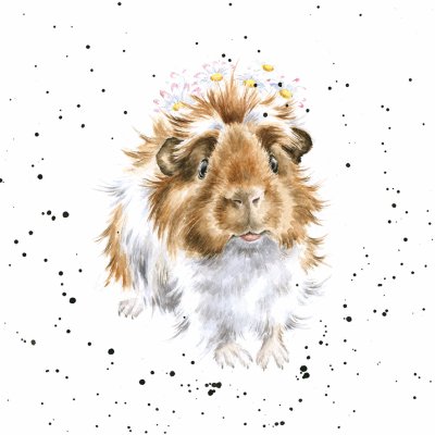'Grinny Pig' guinea pig artwork print