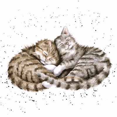 'Sweet Dreams' cat artwork print