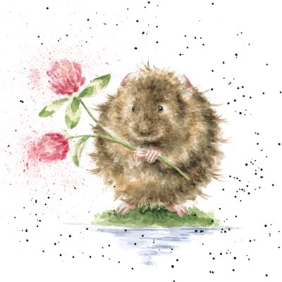 'By the Riverside' water vole artwork print