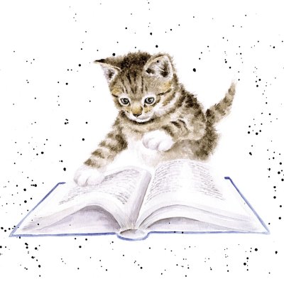 'The Bookworm' cat and book artwork print