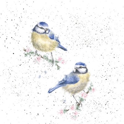 'Bluets' bird artwork print