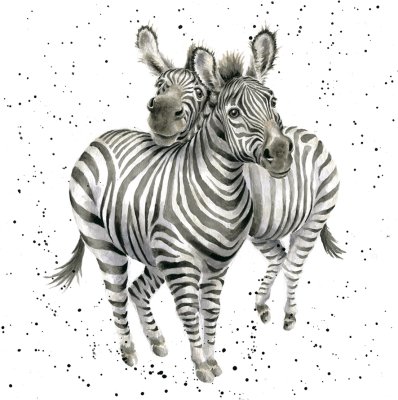 'Still My Favourite' zebra artwork print