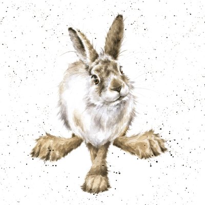 'Your Hare' artwork print