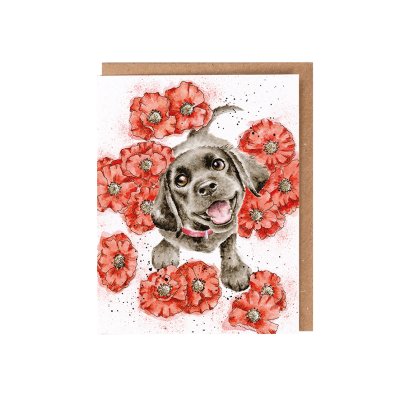 Labrador and poppy card with wildflower seeds