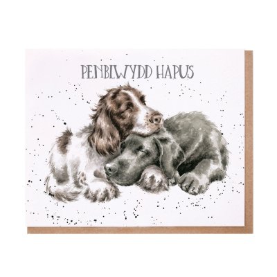 Spaniel and Labrador Welsh Birthday card