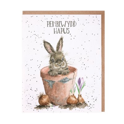 Rabbit in a flower pot occasion card with Welsh text