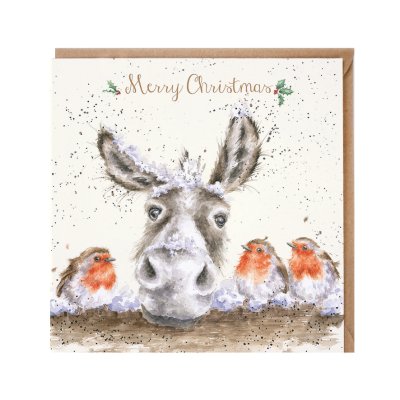Donkey and robin Christmas card