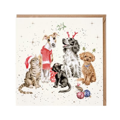 Festive cats and dogs illustrated Christmas card