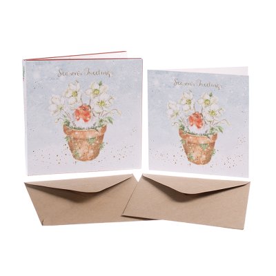 Robin and hellebores boxed Christmas cards