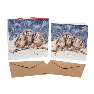 Owl boxed Christmas cards